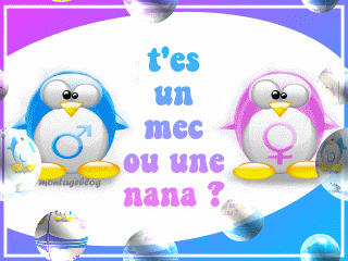 kestion